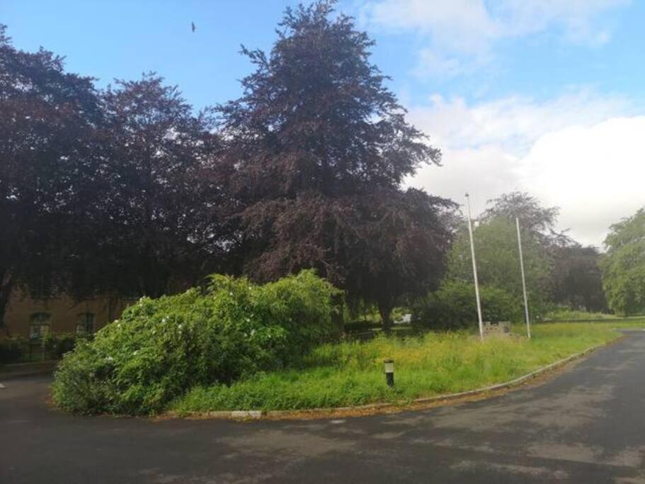 Cotswold Gem Apartment Upper Rissington Luaran gambar